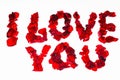 I love you - words made of red rose petals. Beautiful romantic backgrounds Royalty Free Stock Photo