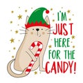 I\'m just here for the candy - funny slogan and cat with candy cane.