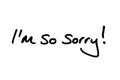 I`m So Sorry