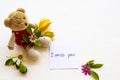 I miss you message card handwriting with colorful flowers cosmos, ylang ylang and teddy bear Royalty Free Stock Photo