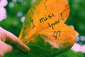 I miss you on old leaf Royalty Free Stock Photo