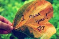 I miss you on old leaf Royalty Free Stock Photo