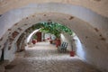 I the Monastery of Paleokastritsa - Nice arcade with flower pots Royalty Free Stock Photo