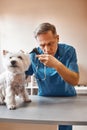 I need to check everything. Professional middle aged veterinarian in working wear is checking dog`s ear at veterinary