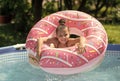 I am one pool kid. Happy kid swim in dount pool float. Summer vacation. Summertime. Keep swimming