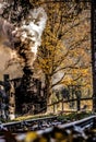 Steam train named Mocanita in Vaser Valley, Maramures, Romania