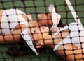 I played well today. two tennis players lying next to each other. Royalty Free Stock Photo