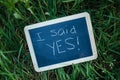 I said yes. Picture of a board on a grass