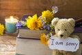 I am sorry message card handwriting with book ,teddy bear Royalty Free Stock Photo