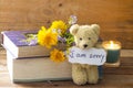 I am sorry message card handwriting with book ,teddy bear Royalty Free Stock Photo