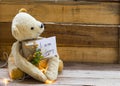 I am sorry message card handwriting with teddy bear holding gift box decoration postcard style Royalty Free Stock Photo