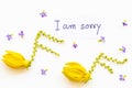 I am sorry message card handwriting with yellow flowers ylang ylang arrangement music score