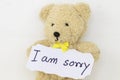 I am sorry message card and teddy bear Royalty Free Stock Photo