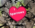 I Love Sparrows.20th March sparrow day concept.