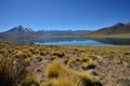 Andean Desert Bolivia - Lagunas Altiplanicas