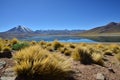 Andean Desert Bolivia - Lagunas Altiplanicas
