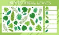 I spy game. Childrens educational fun. Count how many nature elements. Flat hand drawn tropical leaves with folk ornaments. Vector