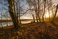 Evening mood at the lake in winter