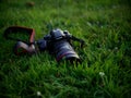 Lumix GH4 sitting in the grass.