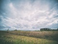 On the shores of Lake Shinji Royalty Free Stock Photo