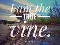 I am the true from bible verse design for Christianity of the day, be encouraged. Royalty Free Stock Photo