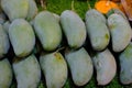 Green mangoes ready to eat Royalty Free Stock Photo