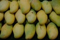 Yellow mangoes ready to eat Royalty Free Stock Photo