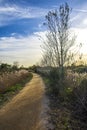 I walk towards the beach