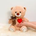 I want to give you love, tenderness, care, comfort from the bottom of my heart Royalty Free Stock Photo