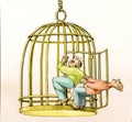 I want to stay in my cage Royalty Free Stock Photo