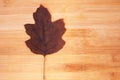 Dry Japanese maple leaf on wood background 7