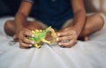 I wish dinosaurs still existed. Cropped shot of an unrecognizable boy playing with dinosaurs while sitting on his bed. Royalty Free Stock Photo