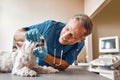 I won`t hurt you. Kind veterinar checking teeth of a small dog lying on the table in veterinary clinic. Pet care concept