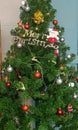 decorating the Christmas tree for the New Year together in & x28;Thailand& x29;.