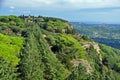 Ialyssos Monestary, Mount Filerimos, Rhodes, Greece. Royalty Free Stock Photo