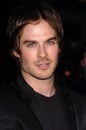 Ian Somerhalder Royalty Free Stock Photo