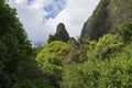 Iao needle rising above valley in west maui Royalty Free Stock Photo