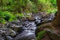 Iao Stream at Iao Valley State Park in Maui, Hawaii Royalty Free Stock Photo