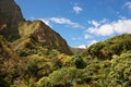 Iao Valley, Maui, Hawaiian island, USA Royalty Free Stock Photo