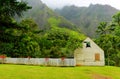 Iao valley nature reserve, Monkey pod tree, clouds, fog