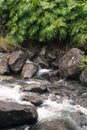 Iao Valley State Park on Maui Hawaii Royalty Free Stock Photo