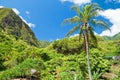 Iao Valley State Park on Maui Hawaii Royalty Free Stock Photo