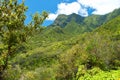 Iao Valley State Park on Maui Hawaii Royalty Free Stock Photo