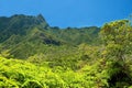 Iao Valley State Park on Maui Hawaii Royalty Free Stock Photo