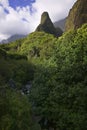 Iao Valley State Park, Maui, Hawaiian Islands Royalty Free Stock Photo