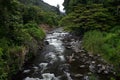 Iao Valley Stream, Hawaii