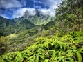 Iao Valley trail on Maui on Hawaii Royalty Free Stock Photo