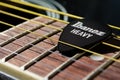 Ibanez heavy pick macro Royalty Free Stock Photo