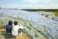 Ibaraki, Japan- May 6, 2017 :a couple sitting on top hill of blooming blue nemophila small flowers field in japan