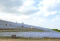 ibaraki, Japan May 6, 2017 :Slope of landscape nemophila flowers field at hitachi seaside park japan